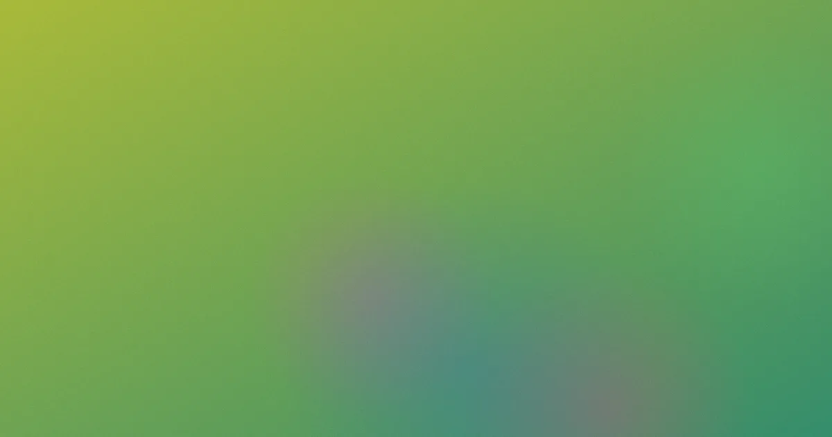 布丁动漫测评：新手别踩这些坑